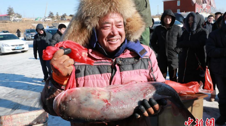 头鱼拍出69万元人民币