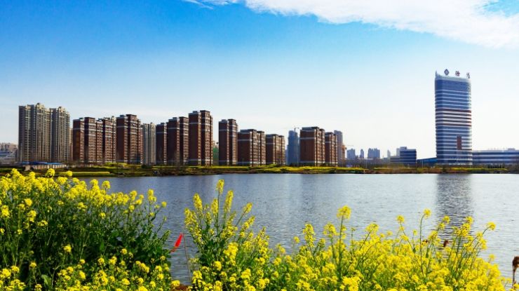 滁州之友：龙蟠也有春天 