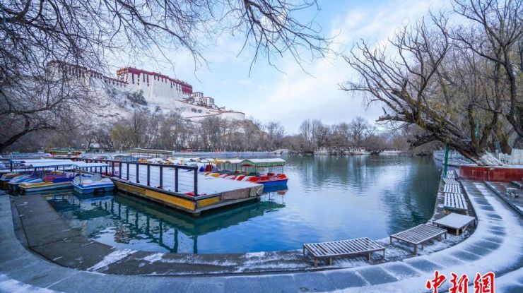 拉萨三月迎春雪