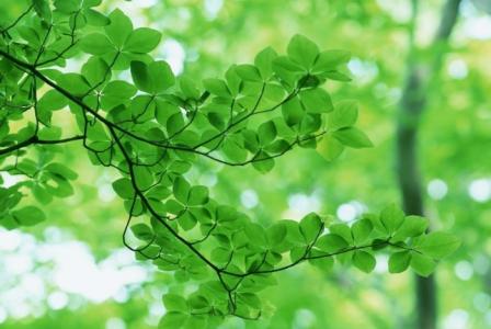 u=2918140046,2979111001&fm=23&gp=0