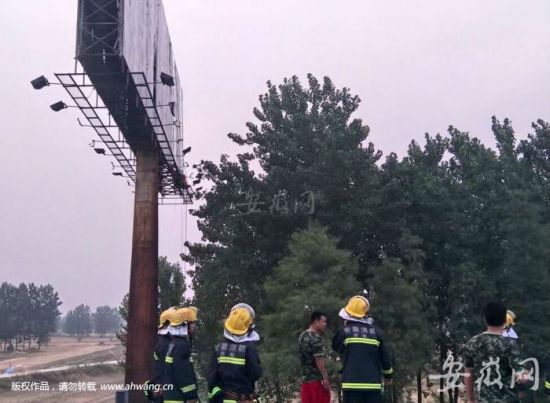 QQ图片20170604101055