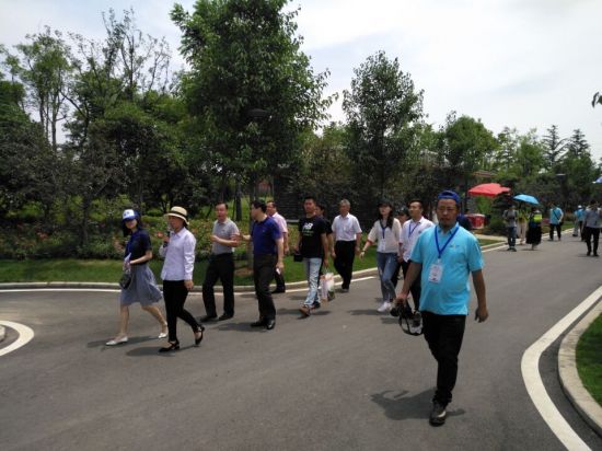 QQ图片20170618111305