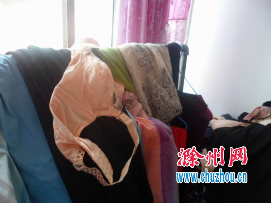 天长小区居民合力抓获一专偷女性内衣窃贼