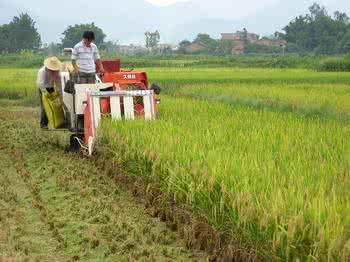 u=2545469224,1283730844&fm=26&gp=0