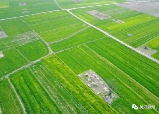 QQ图片20170714091247