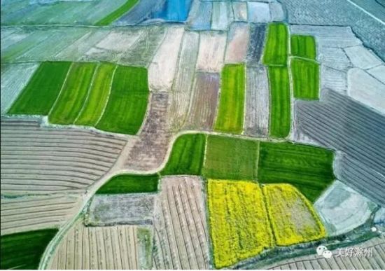 QQ图片20170714091247