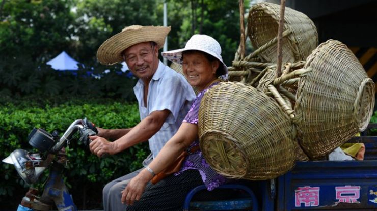 滁州“狗市”见闻