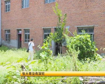 老婆你去哪儿了