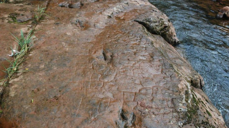 河滩出现“脚印” 竟是一亿年前恐龙足迹