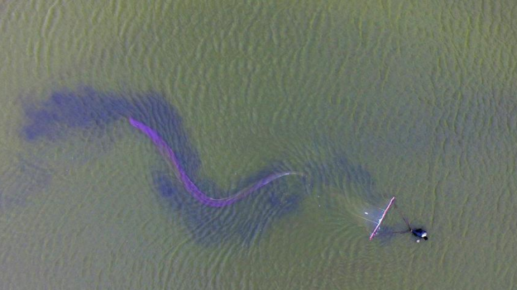 俯拍山西盐湖捞虫人 水中劳作如舞龙