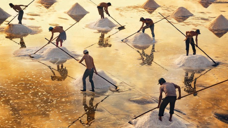  烈日晒盐画面唯美