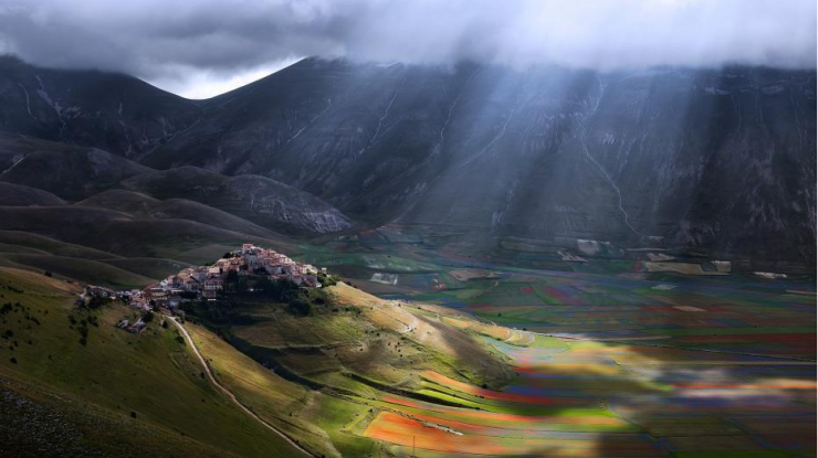 航拍意大利花田 如油画般梦幻绚烂