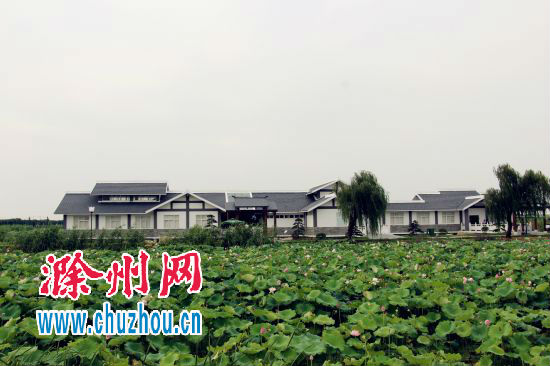 新景点荷文化体验馆2