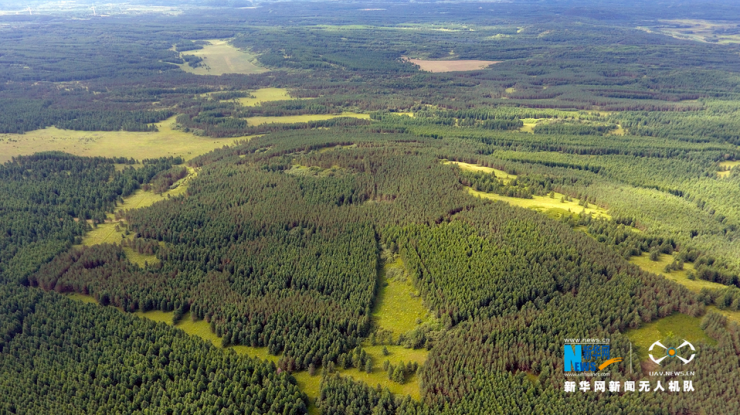 百万亩林海记录三代人的艰辛 