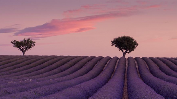 这些作品出自10岁男孩之手