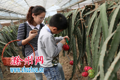 农业旅游热椒陵