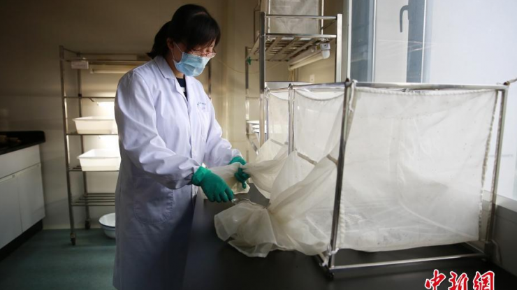 女硕士喂养7000只蚊子