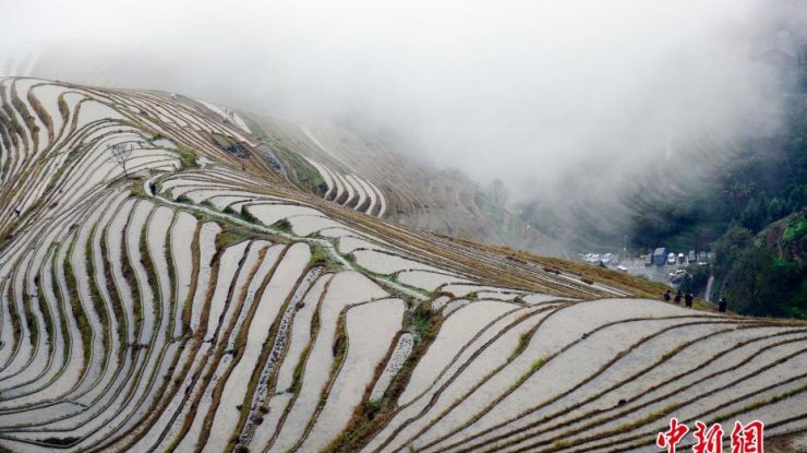 广西龙脊梯田云雾缭绕美如画