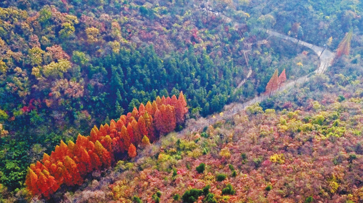 层林尽染琅琊山