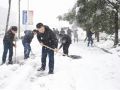 我市迎来近十年最强降雪