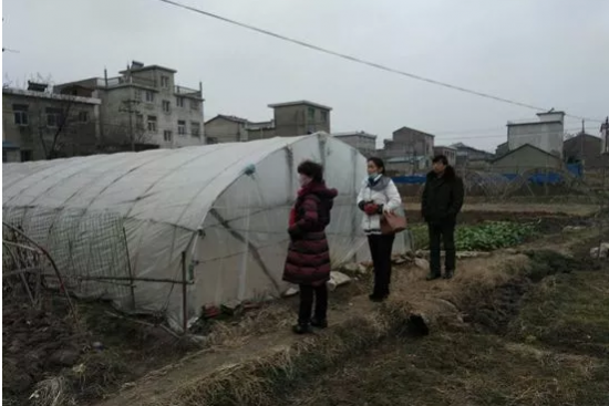 QQ图片20180126163816