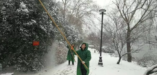 QQ图片20180127164240