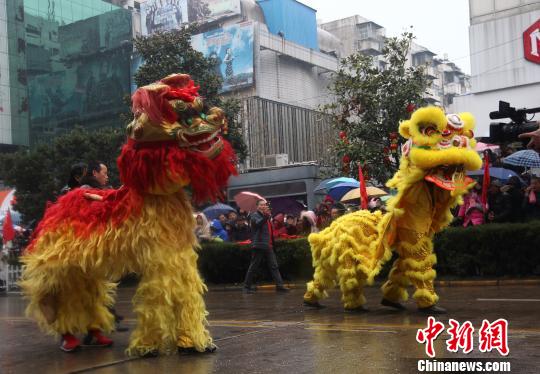 舞狮表演 邵纪明 摄