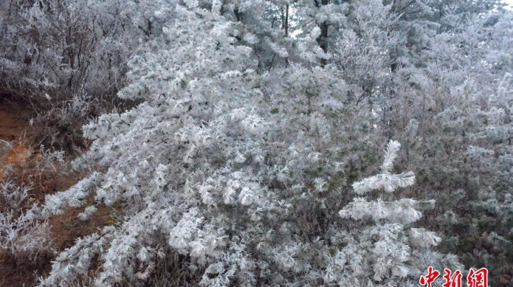 安徽安庆鹞落坪现雾凇 