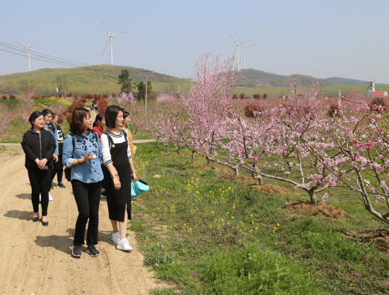 QQ图片20180328151721