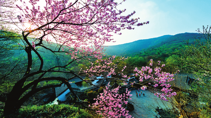 芳菲四月 醉美滁州
