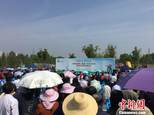 安徽唯一一家国家生态公园官亭林海举办国际风车节