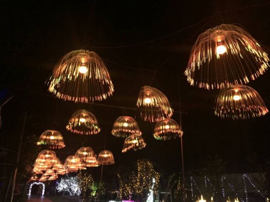 8735B35C901C09DCC3C39769502304A5