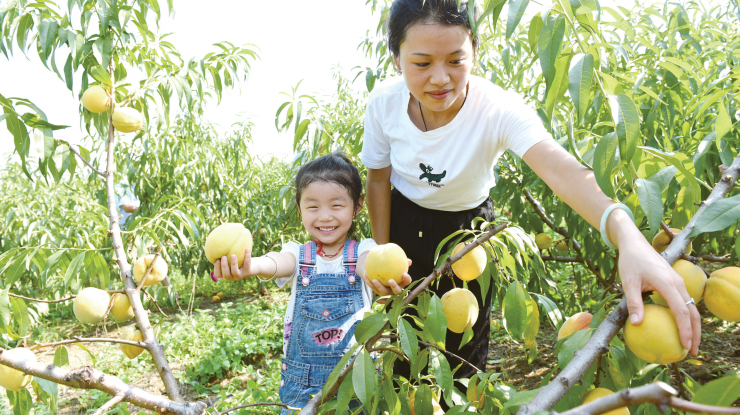 农旅融合促农增收