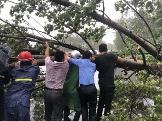 F4F67D6C10AB6527C4EB3403E8C46EE4