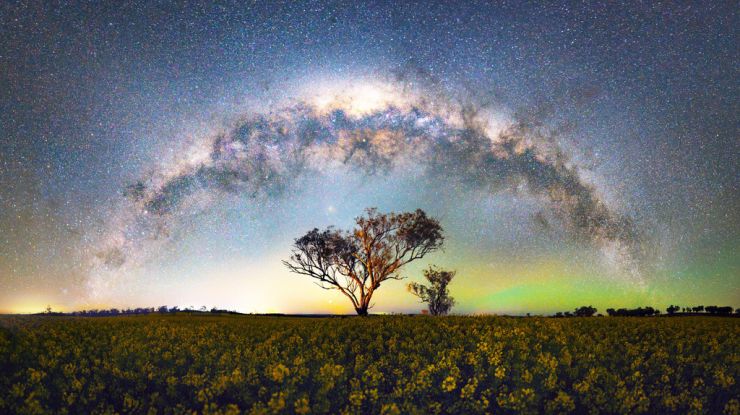 七夕！大自然都在向你“比心”