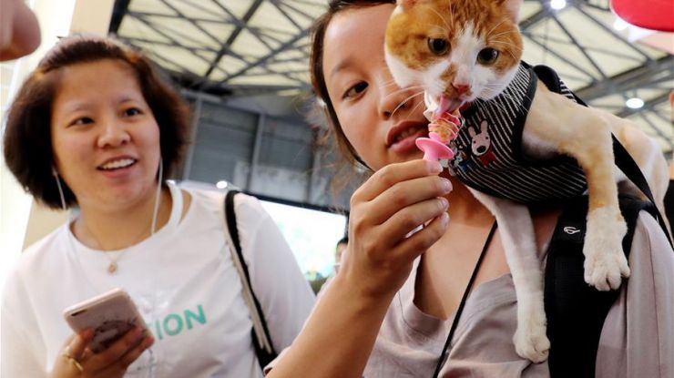 亚洲宠物展在沪举行