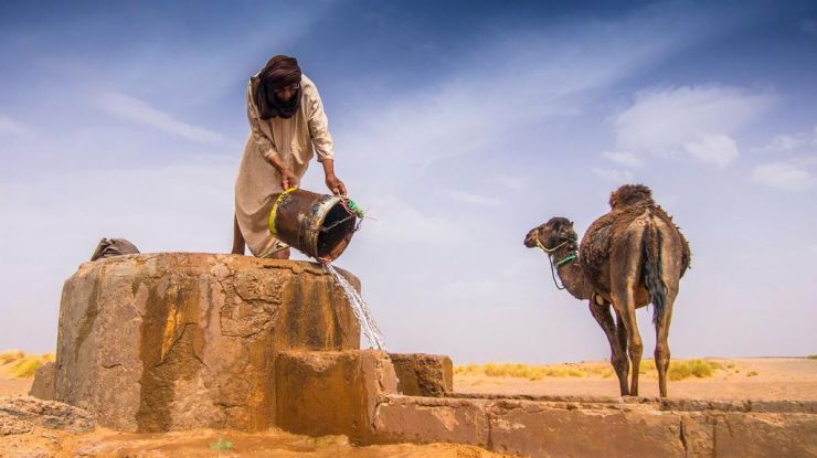 摄影师镜头中的非洲掠影