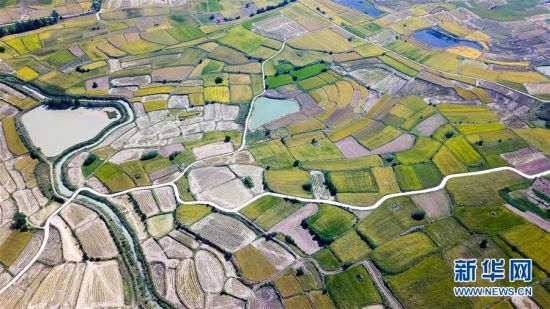 （壮阔东方潮　奋进新时代&mdash;&mdash;庆祝改革开放40年&middot;图文互动）（1）&ldquo;人民的期盼就是改革的动力&rdquo;&mdash;&mdash;&ldquo;大包干&rdquo;带头人寄语改革