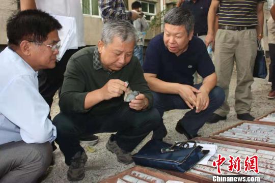 资料图：江西省自然资源厅专家组到项目区调研。江西省自然资源厅供图