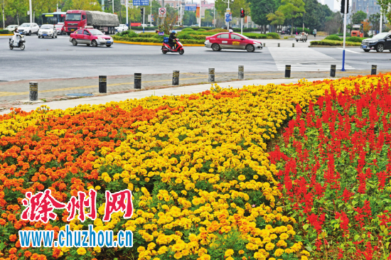 QQ图片20181107082638