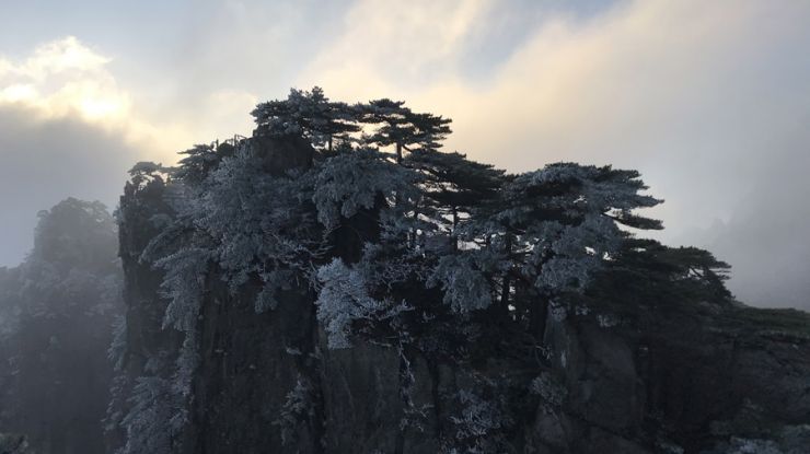 黄山迎来今冬首场雾凇