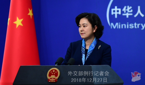 外交部：以元首交往为核心 推动中俄关系明年取得更大发展