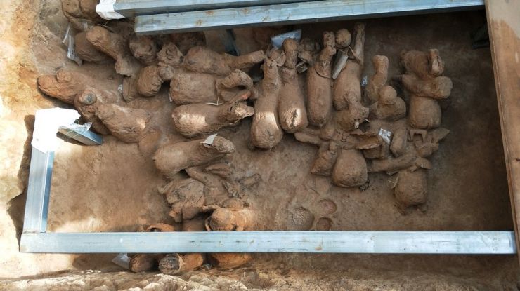 2000年前汉代“兵马俑”出土 山东平度一汉墓现高等级陪葬坑