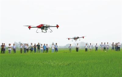 2018年全市民生工程工作综述