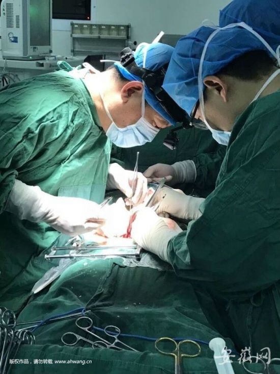 1：捐献的双肾被移植入两位尿毒症患者体内。