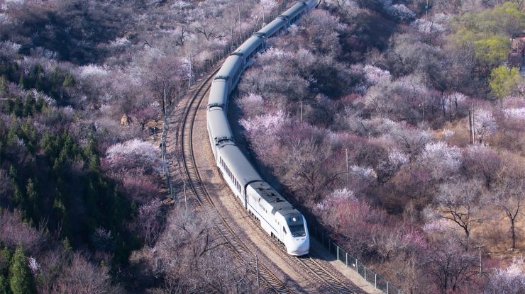 驶入花海 驶入春天