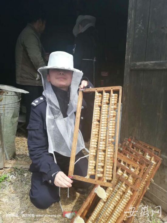 淮南民警叫卖蜂蜜：为了兑现对养蜂人的一个承诺