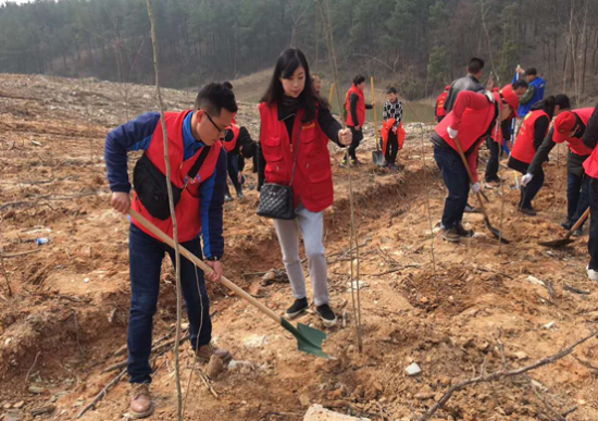 (8X{}E9AXI5ZK`9L574QL31