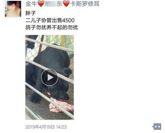 cb8065380cd791234f5cf0f5c22f8b86b3b78097