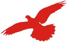 人民网评：以人民为中心，网信事业造福人民